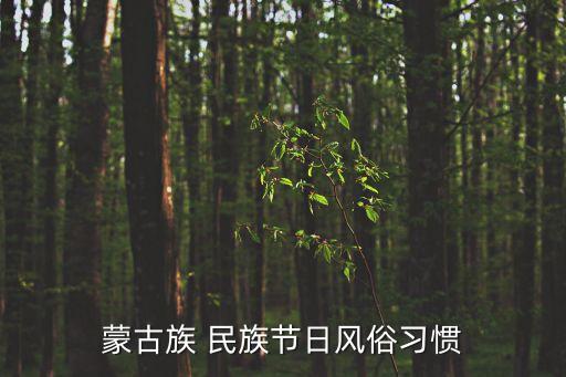 蒙古族 民族节日风俗习惯