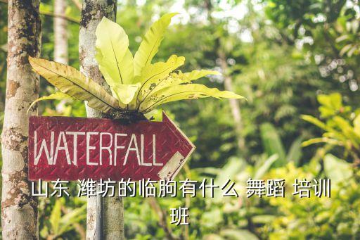 山东 潍坊的临朐有什么 舞蹈 培训班