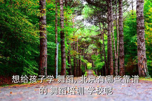 想给孩子学 舞蹈, 北京有哪些靠谱的 舞蹈培训 学校呢