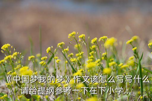 《中国梦我的梦》作文该怎么写写什么请给提纲参考一下在下小学...