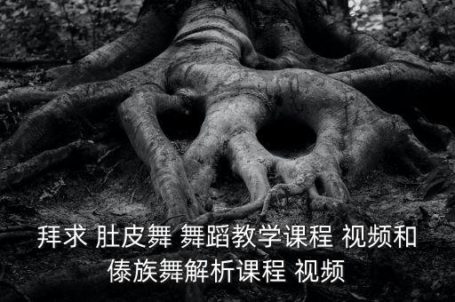 肚皮舞初级舞蹈视频,美国华尔街股市大幅下滑