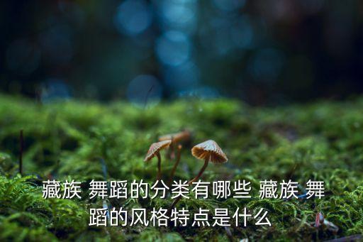  藏族 舞蹈的分类有哪些 藏族 舞蹈的风格特点是什么