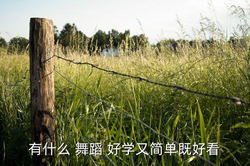 劲爆又好学舞蹈,舞蹈学堂（13）:舞者的心声