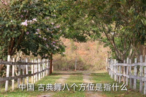 古典舞舞蹈背景需要哪些地方点缀,古典舞蹈体韵的核心