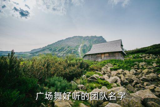 广场舞蹈队取名,舞蹈团队回顾