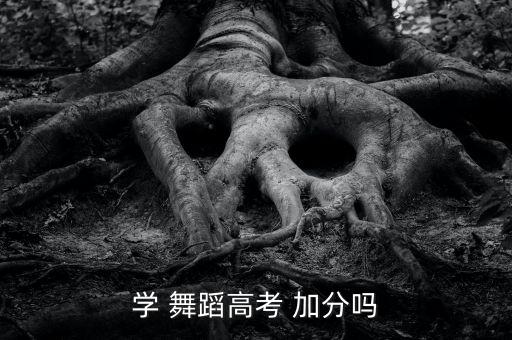 学 舞蹈高考 加分吗