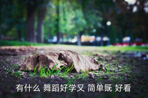 简单教学有好看的舞蹈,舞蹈不难学习!基本功扎实