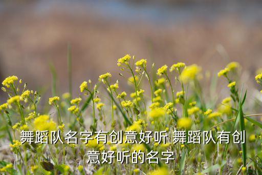  舞蹈队名字有创意好听 舞蹈队有创意好听的名字