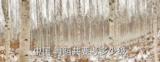 中国 舞蹈共要考多少级