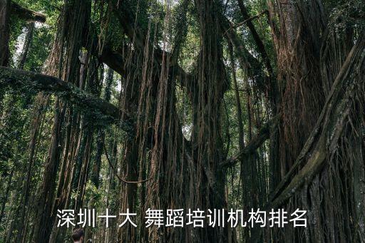 深圳十大 舞蹈培训机构排名