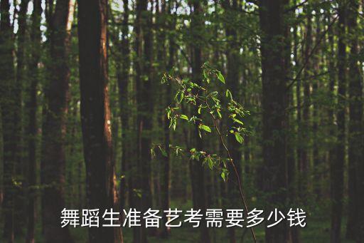 舞蹈生准备艺考需要多少钱