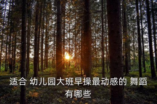 幼儿园大班舞蹈中国美,第二集:亲子运动会亲子游乐场