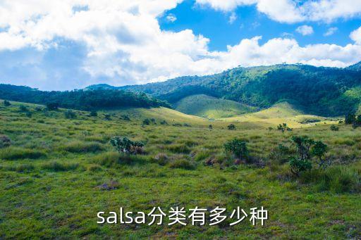 salsa舞的舞蹈特点,成都莎莎舞演绎洛杉矶风格舞蹈