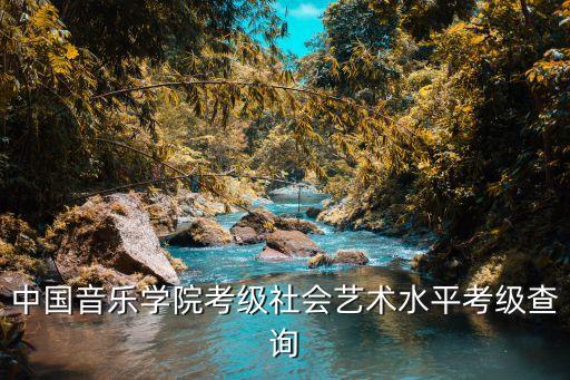 中国音乐学院考级社会艺术水平考级查询