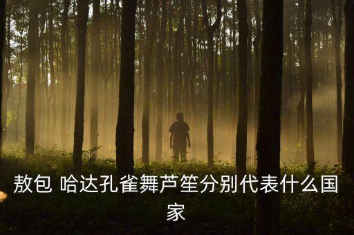 敖包 哈达孔雀舞芦笙分别代表什么国家