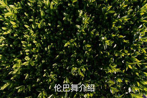  伦巴舞介绍