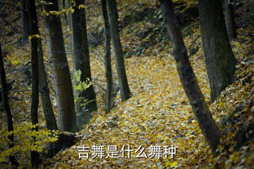 吉舞是什么舞种