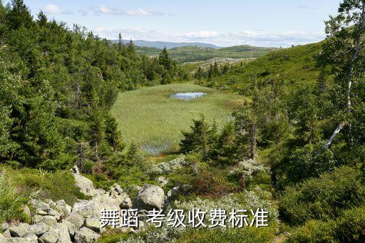  舞蹈 考级收费标准