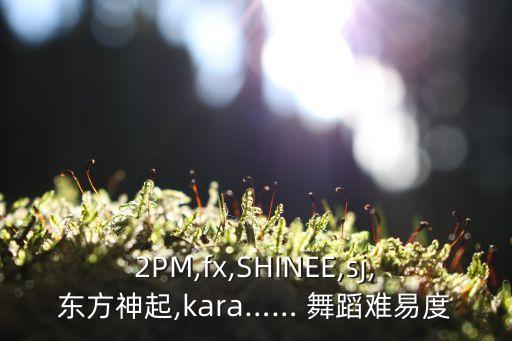 2PM,fx,SHINEE,sj,东方神起,kara…… 舞蹈难易度