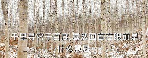  千里寻它千百度,蓦然回首在眼前是什么意思