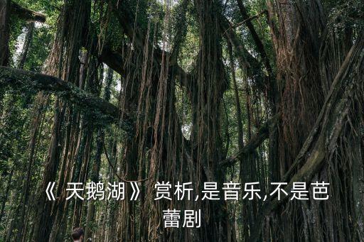 天鹅湖舞蹈动作赏析,四只小天鹅的舞蹈《天鹅湖原曲出炉