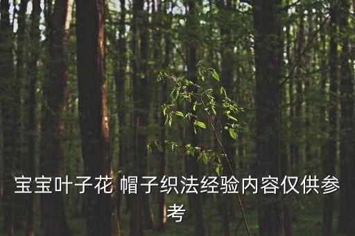 宝宝叶子花 帽子织法经验内容仅供参考