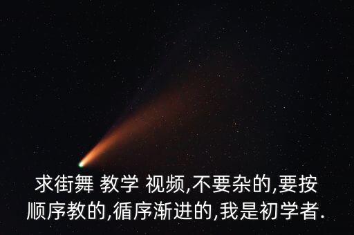 求街舞 教学 视频,不要杂的,要按顺序教的,循序渐进的,我是初学者.
