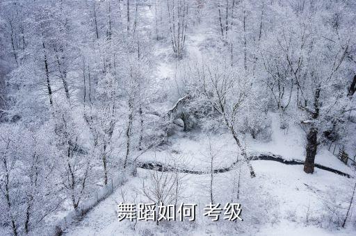  舞蹈如何 考级