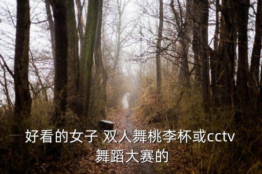 好看的女子 双人舞桃李杯或cctv 舞蹈大赛的