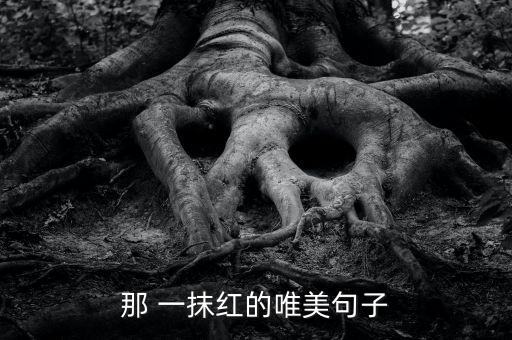 那 一抹红的唯美句子