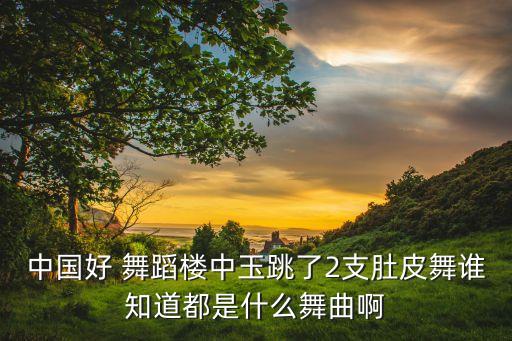 中国好 舞蹈楼中玉跳了2支肚皮舞谁知道都是什么舞曲啊