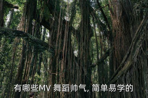 最简单流行的集体舞蹈视频,第二集:《好孩子》系列（一）