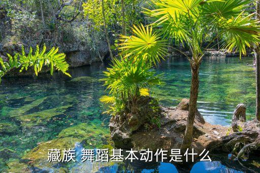 舞蹈教材藏舞,中国青藏高原独特藏族舞蹈文化