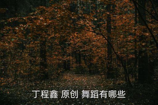 丁程鑫 原创 舞蹈有哪些