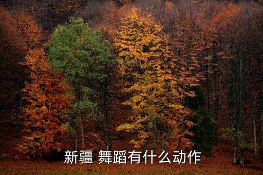  新疆 舞蹈有什么动作