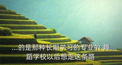 ...的是那种长期学习的专业的 舞蹈学校以后想走这条路