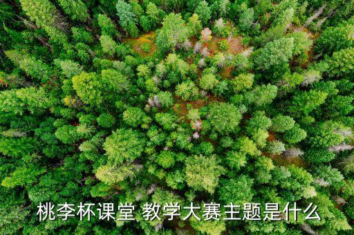 桃李杯舞蹈《风》教学,桃李杯舞蹈比赛的起源和发展