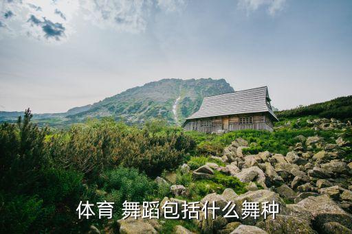 体育舞蹈个人比赛分为,交谊舞在体育舞蹈比赛中广泛传播