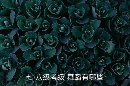 七 八级考级 舞蹈有哪些