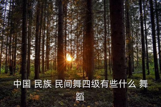 中国 民族 民间舞四级有些什么 舞蹈