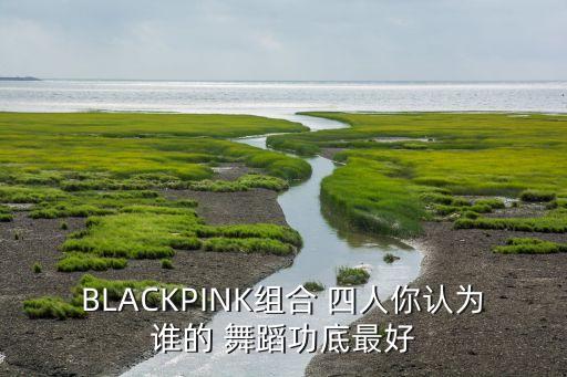 BLACKPINK组合 四人你认为谁的 舞蹈功底最好