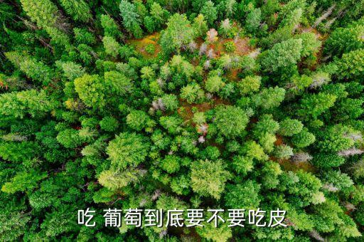 吃 葡萄到底要不要吃皮