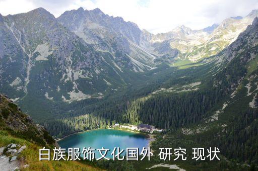 白族服饰文化国外 研究 现状