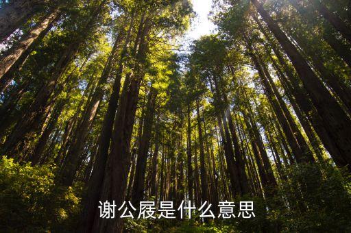  谢公屐是什么意思