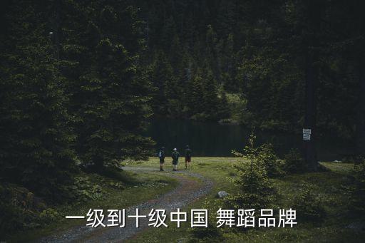 一级到十级中国 舞蹈品牌