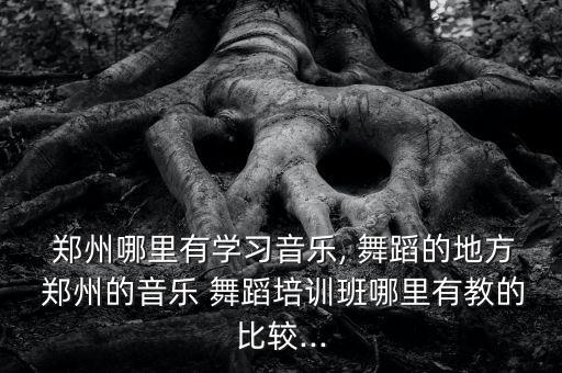  郑州哪里有学习音乐, 舞蹈的地方 郑州的音乐 舞蹈培训班哪里有教的比较...