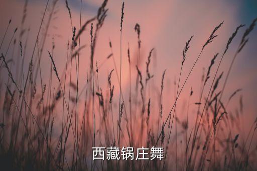 扎西学舞蹈曲,本届大赛舞蹈风格