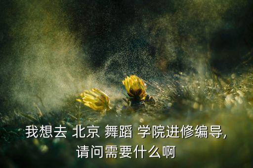北京舞蹈学院学费,北京舞蹈学院成立20年来一直招生不停歇