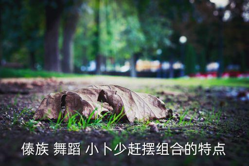 傣族 舞蹈 小卜少赶摆组合的特点