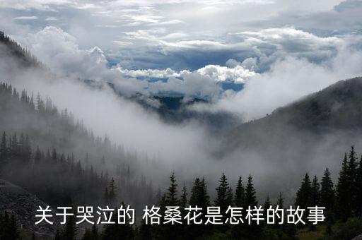 舞蹈幸福格桑花mp3,寻找八瓣格桑花就是找到幸福